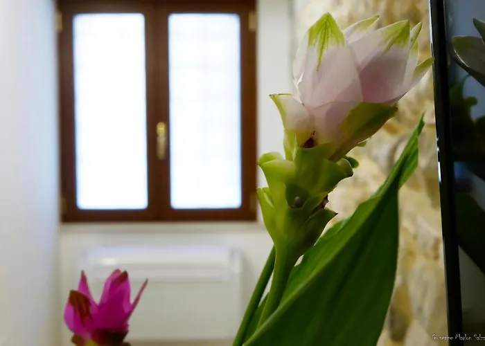 Al Teatro 4* Μπενεβέντο